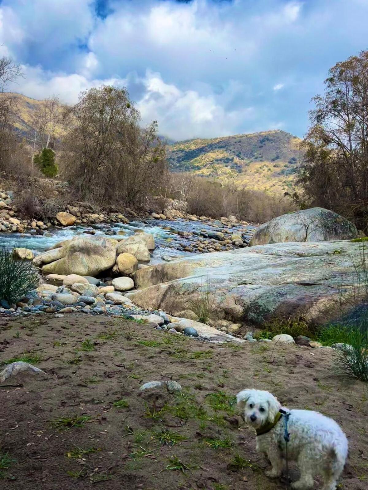 3B Hot Tub, 4Mi From Sequoia, Arcade Games, Foosball スリー・リバーズ エクステリア 写真